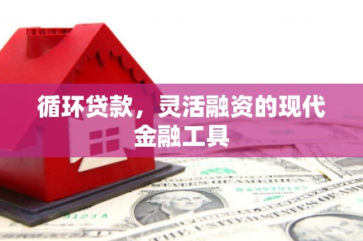 茂县循环贷款，灵活融资的现代金融工具