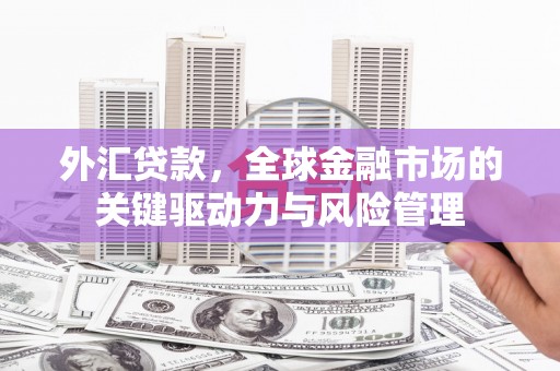 茂县外汇贷款，全球金融市场的关键驱动力与风险管理