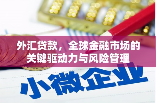 茂县外汇贷款，全球金融市场的关键驱动力与风险管理