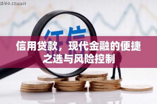 茂县信用贷款，现代金融的便捷之选与风险控制