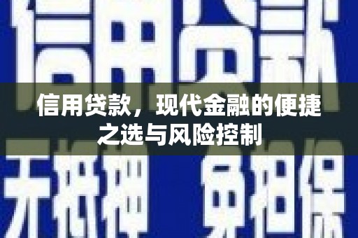 茂县信用贷款，现代金融的便捷之选与风险控制