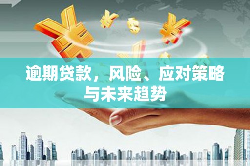 茂县逾期贷款，风险、应对策略与未来趋势