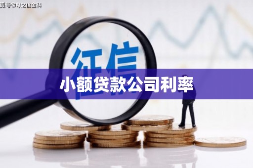 茂县小额贷款公司利率