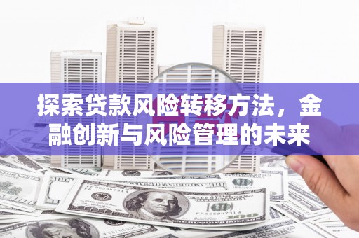 茂县探索贷款风险转移方法，金融创新与风险管理的未来