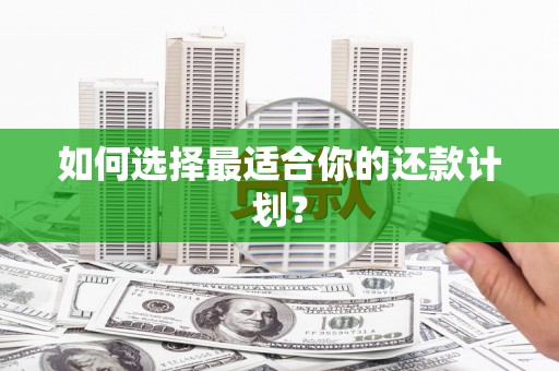茂县如何选择最适合你的还款计划？