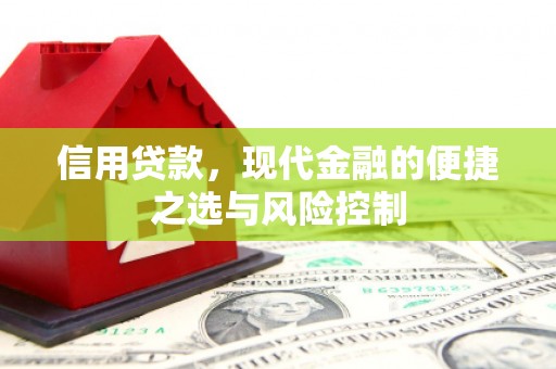 茂县信用贷款，现代金融的便捷之选与风险控制