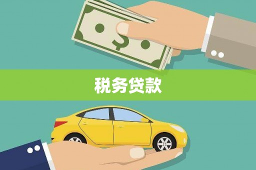 茂县税务贷款