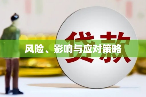 茂县风险、影响与应对策略