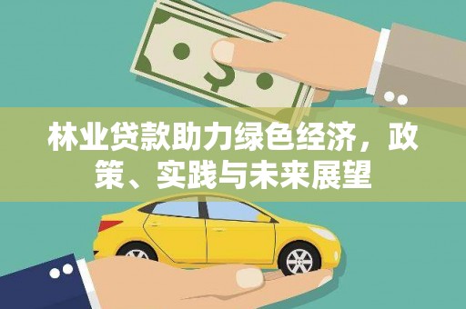 茂县林业贷款助力绿色经济，政策、实践与未来展望