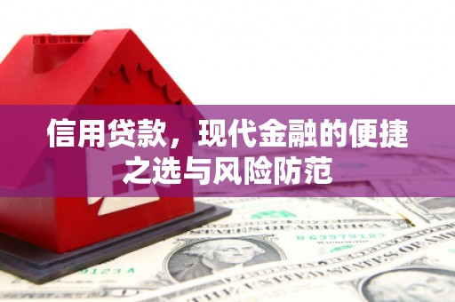 茂县信用贷款，现代金融的便捷之选与风险防范