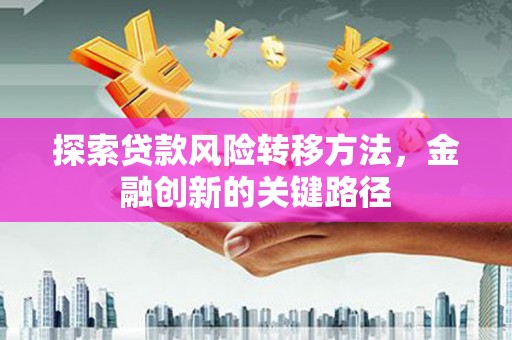 茂县探索贷款风险转移方法，金融创新的关键路径