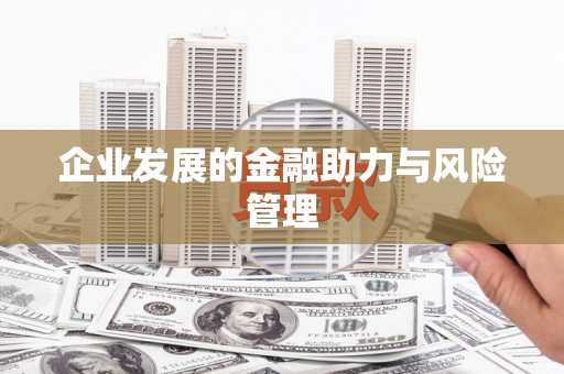 茂县企业发展的金融助力与风险管理