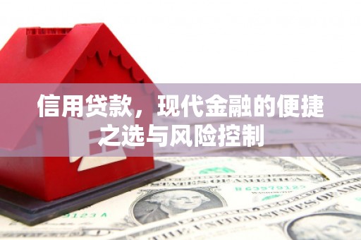 茂县信用贷款，现代金融的便捷之选与风险控制