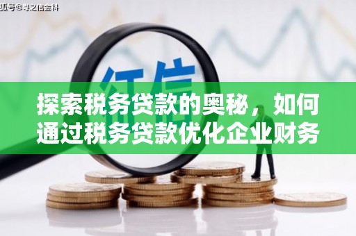 茂县探索税务贷款的奥秘，如何通过税务贷款优化企业财务