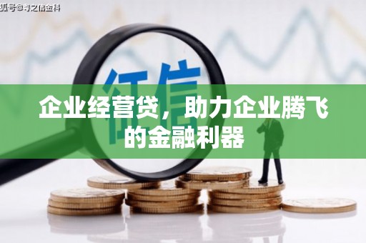 茂县企业经营贷，助力企业腾飞的金融利器