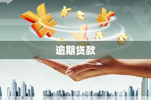 茂县逾期贷款