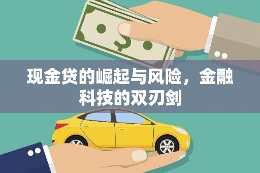 茂县现金贷的崛起与风险，金融科技的双刃剑