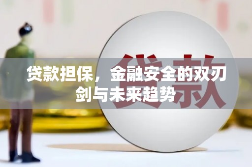 茂县贷款担保，金融安全的双刃剑与未来趋势