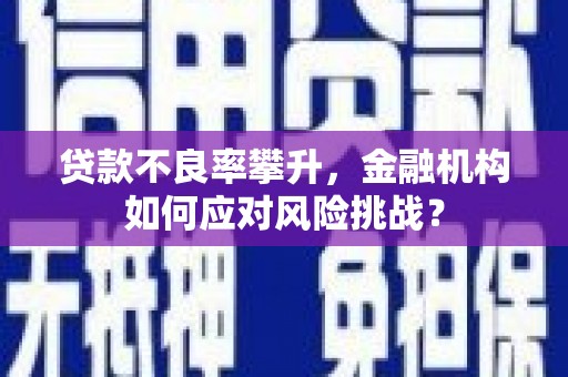 茂县贷款不良率攀升，金融机构如何应对风险挑战？