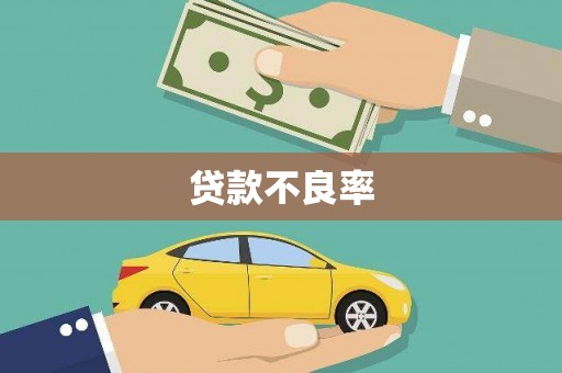 茂县贷款不良率