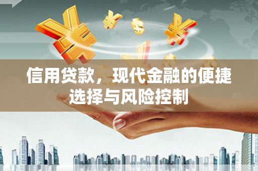 茂县信用贷款，现代金融的便捷选择与风险控制