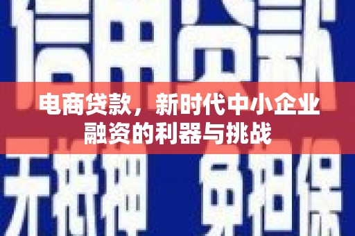 茂县电商贷款，新时代中小企业融资的利器与挑战