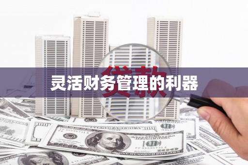 茂县灵活财务管理的利器