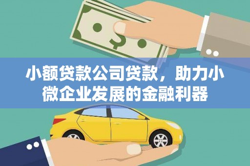 茂县小额贷款公司贷款，助力小微企业发展的金融利器