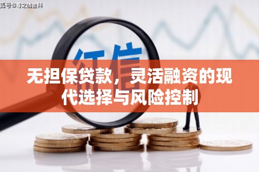 茂县无担保贷款，灵活融资的现代选择与风险控制