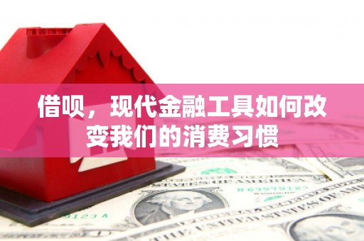 茂县借呗，现代金融工具如何改变我们的消费习惯