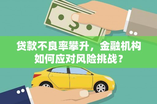茂县贷款不良率攀升，金融机构如何应对风险挑战？