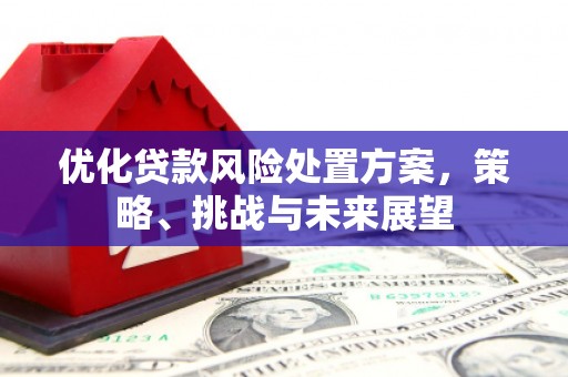 茂县优化贷款风险处置方案，策略、挑战与未来展望