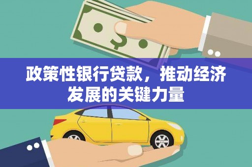 茂县政策性银行贷款，推动经济发展的关键力量