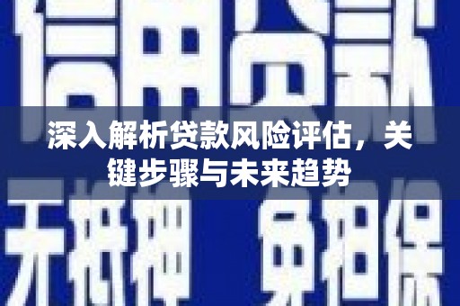茂县深入解析贷款风险评估，关键步骤与未来趋势