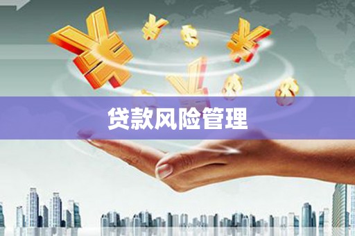 茂县贷款风险管理