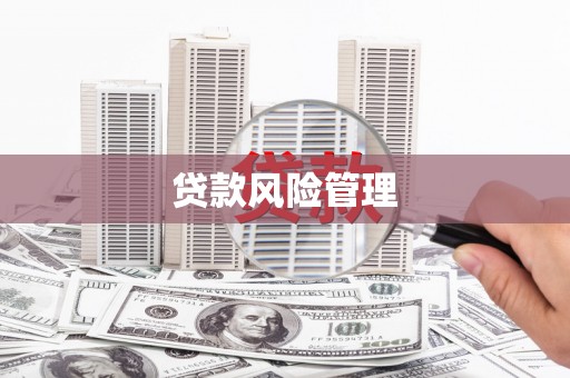 茂县贷款风险管理