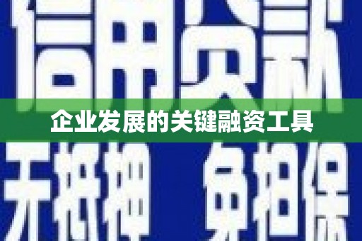 茂县企业发展的关键融资工具