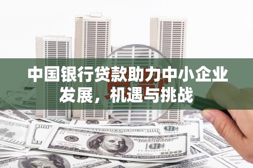 茂县中国银行贷款助力中小企业发展，机遇与挑战
