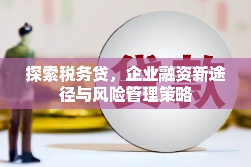 茂县探索税务贷，企业融资新途径与风险管理策略