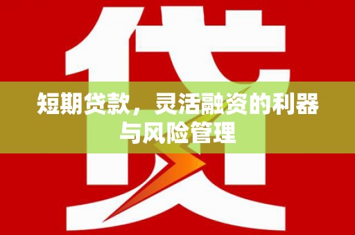 茂县短期贷款，灵活融资的利器与风险管理