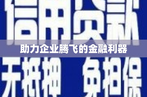 茂县助力企业腾飞的金融利器