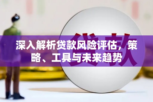 茂县深入解析贷款风险评估，策略、工具与未来趋势