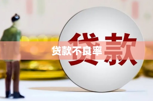 茂县贷款不良率