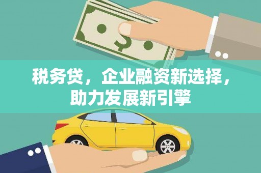 茂县税务贷，企业融资新选择，助力发展新引擎