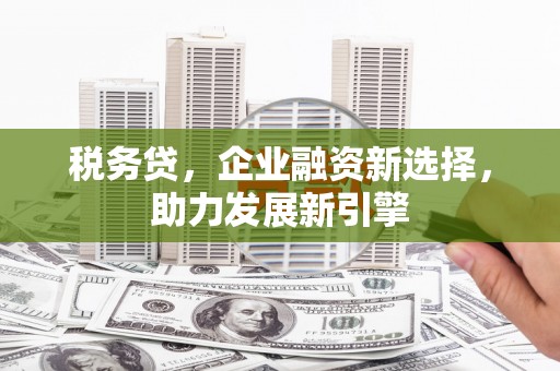 茂县税务贷，企业融资新选择，助力发展新引擎