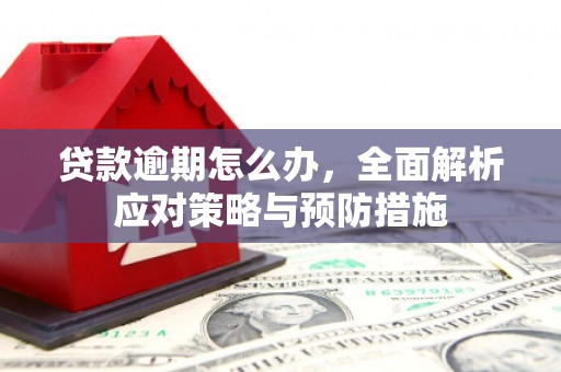 茂县贷款逾期怎么办，全面解析应对策略与预防措施