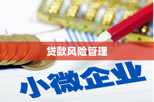茂县贷款风险管理