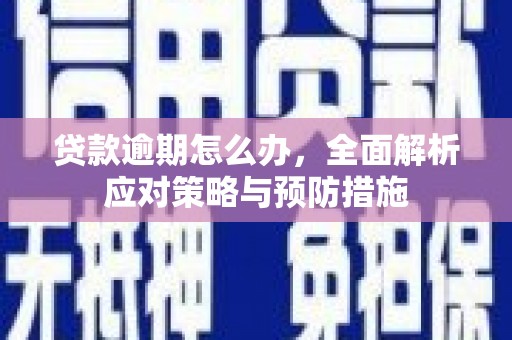 茂县贷款逾期怎么办，全面解析应对策略与预防措施