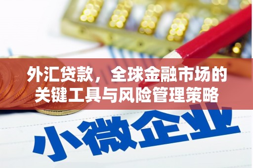 茂县外汇贷款，全球金融市场的关键工具与风险管理策略