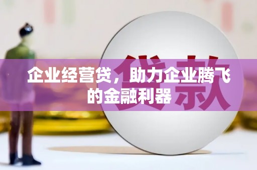 茂县企业经营贷，助力企业腾飞的金融利器